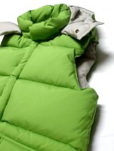 Inpaichthys kerri新商品入荷です。