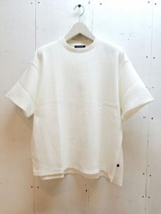 画像1: KIIT(キート)RIB STITCH S/SLEEVE TEE  KIC-T84-012 (WHT) (1)